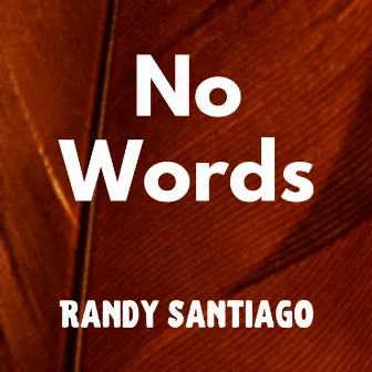 No Words by Randy Santiago