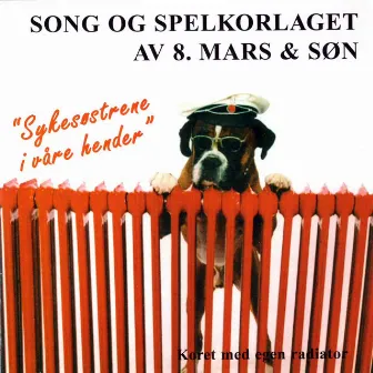 Sykesøstrene i våre hender by Song og Spelkorlaget av 8. mars & Søn