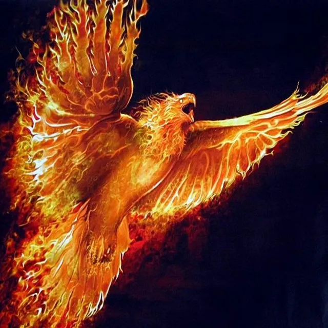 The Flight of the Phoenix