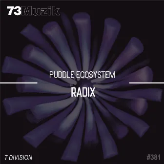 Radix by Puddle EcoSystem