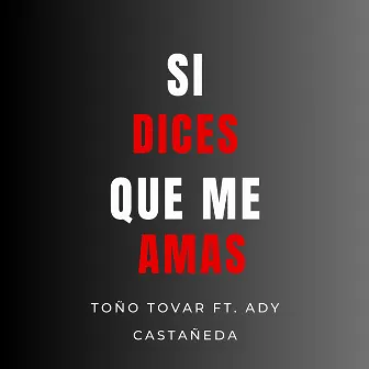 Si Dices Que Me Amas by Ady Castañeda