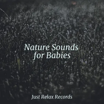 Nature Sounds for Babies by Study Hard