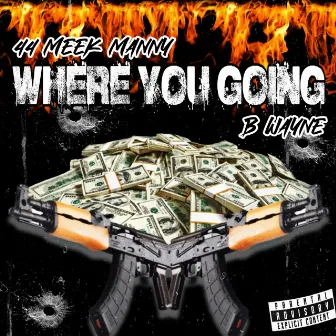 Where You Going by Meek Manny