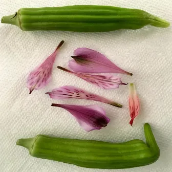 Okra 1 by Thomas Farmer