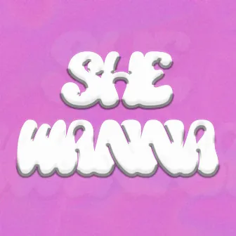 She Wanna by DubzCo