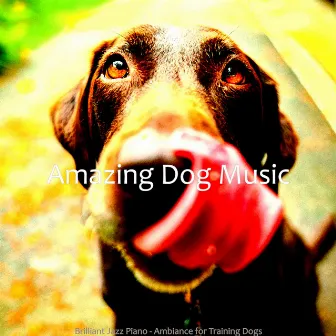 Brilliant Jazz Piano - Ambiance for Training Dogs by 