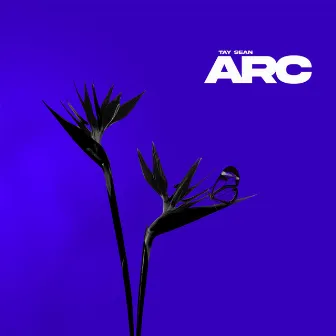 Arc by Tay Sean