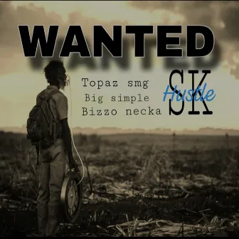 Wanted by Topaz smg