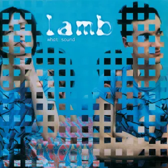 What Sound by Lamb