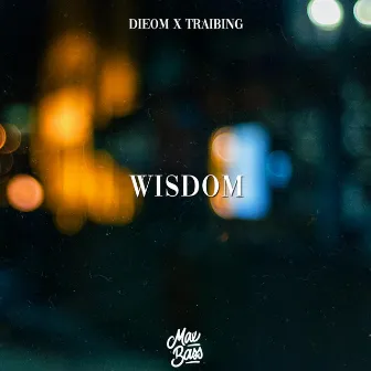 Wisdom by Dieom