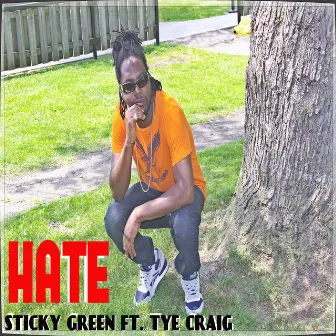 Hate by Sticky Green