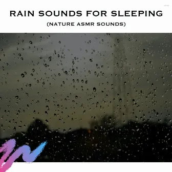 Rain Sounds for Sleeping (Nature ASMR Sounds) by Nature's Music