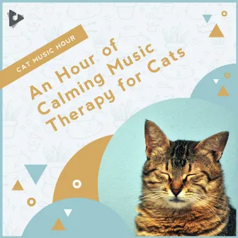 An Hour of Calming Music Therapy for Cats by Kitten Music