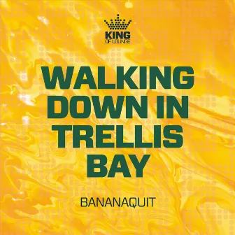 Walking Down in Trellis Bay by Bananaquit