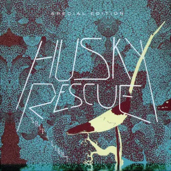 Ship of Light by Husky Rescue