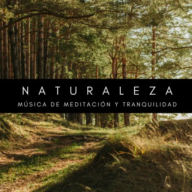 Naturaleza: Música De Meditación y Tranquilidad