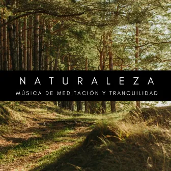 Naturaleza: Música De Meditación y Tranquilidad by 