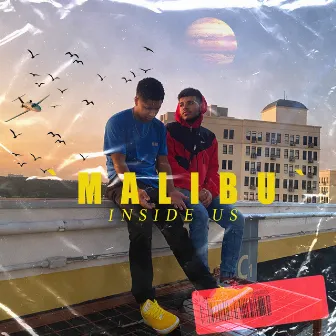 Malibu by inside us