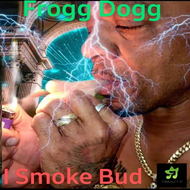 I Smoke Bud