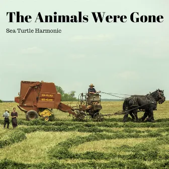 The Animals Were Gone by Sea Turtle Harmonic