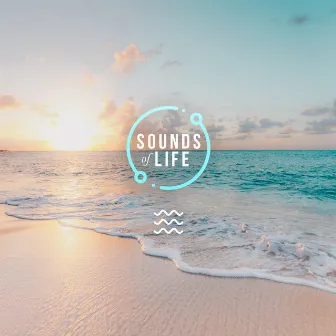 Calm Beach by Sounds of Life