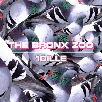 The Bronx Zoo by 10ille