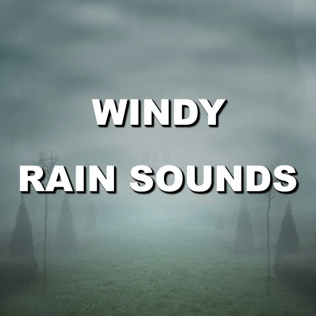 Windy Rain Sounds