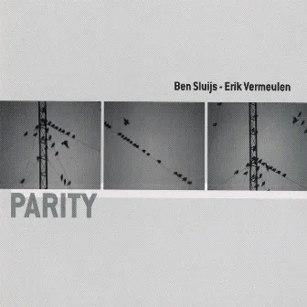 Parity by Erik Vermeulen