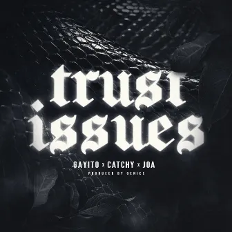 Trust Issues by Catchy