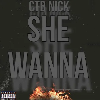 She Wanna (Drive The Boat) by CTB Nick