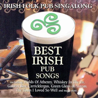 Best Irish Pub Songs by Barnbrack