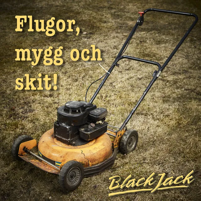 Flugor, mygg och skit