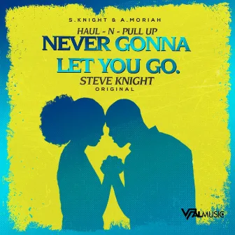 Never Gonna Let You Go by Steve Knight