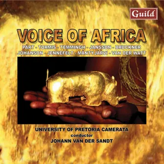 Voices of Africa by Johann van der Sandt