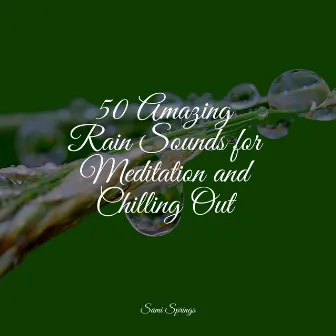 50 Amazing Rain Sounds for Meditation and Chilling Out by Sleep Recording Sounds