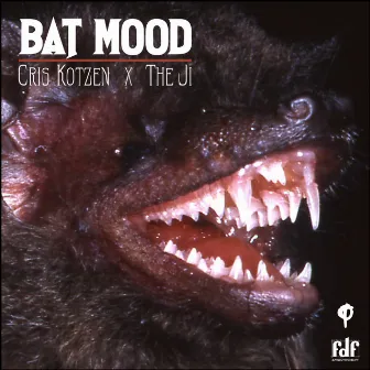 Bat Mood by Cris Kotzen