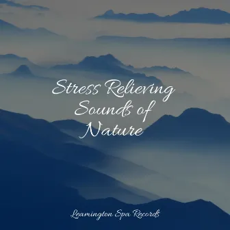 Stress Relieving Sounds of Nature by Mindfulness Mediation World