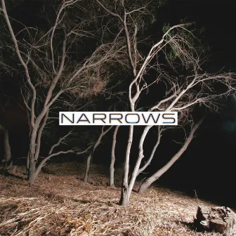 Narrows by Narrows