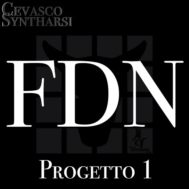 FDN, Progetto 1