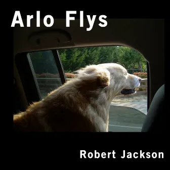 Arlo Flys by Robert Jackson