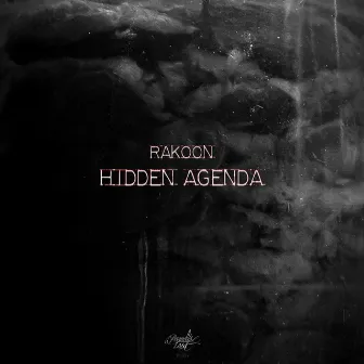 Hidden Agenda EP by Rakoon