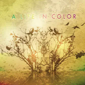 A Life In Color by Beatropolis