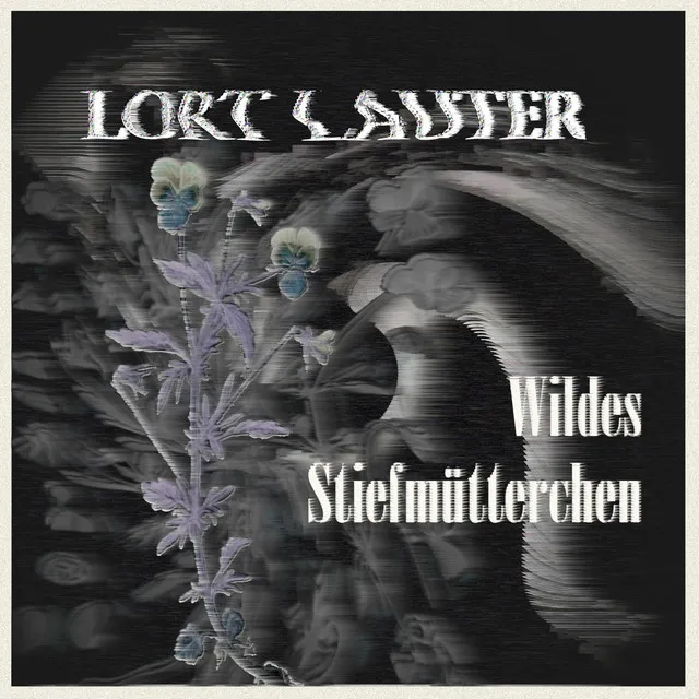 Wildes Stiefmütterchen