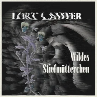 Wildes Stiefmütterchen by Lort Lauter