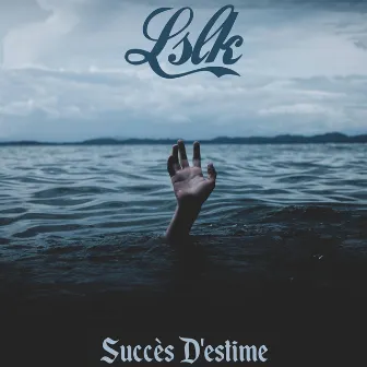 Succès d'Estime by Lslk