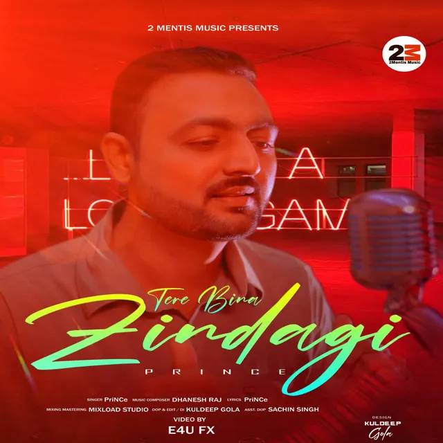 Tere Bina Zindagi (PriNCe)