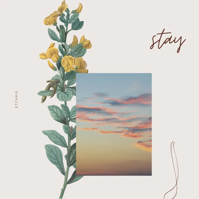 stay