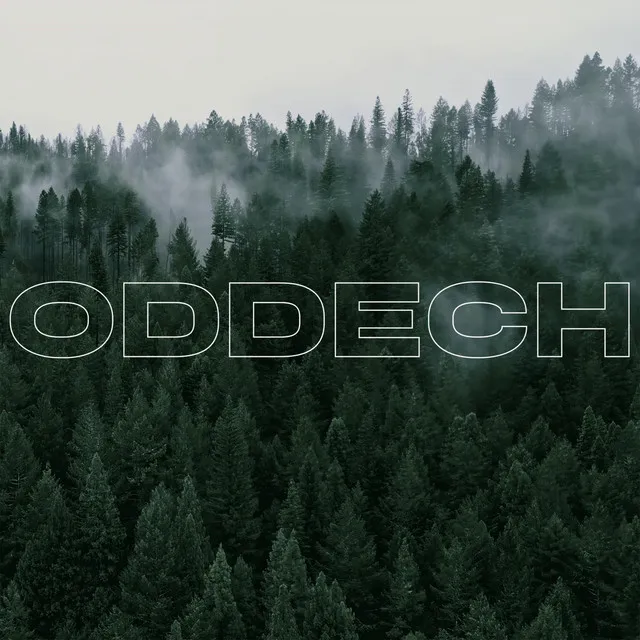 Oddech