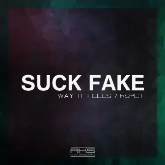 Way It Feels by Suckfake