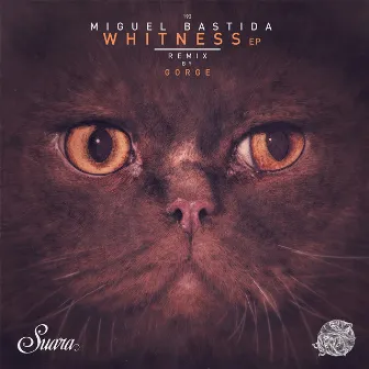 Whitness EP by Miguel Bastida